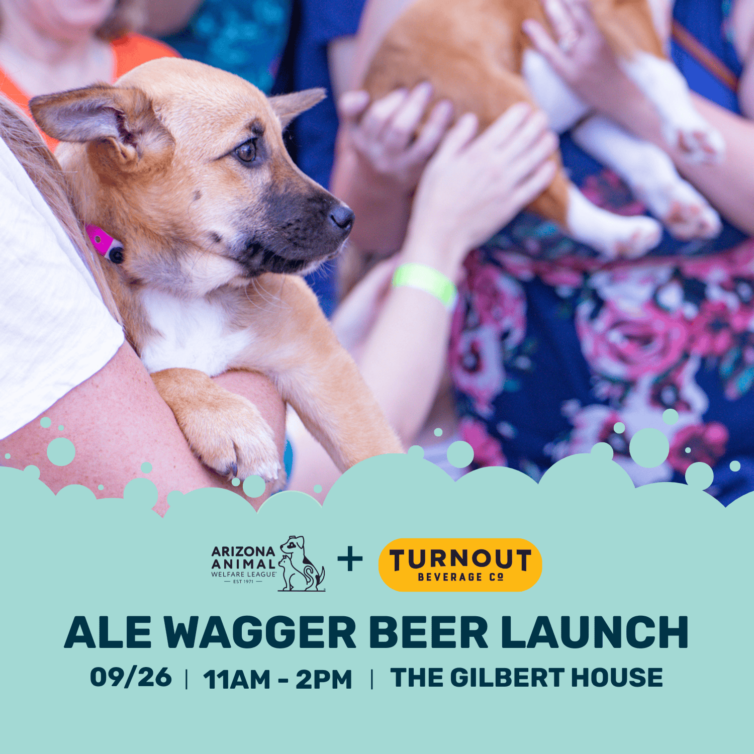 People holding puppies at the ALE WAGGER Beer Launch event, promoting pet-friendly activities at The Gilbert House.